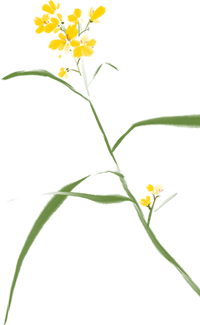2.png 2.png