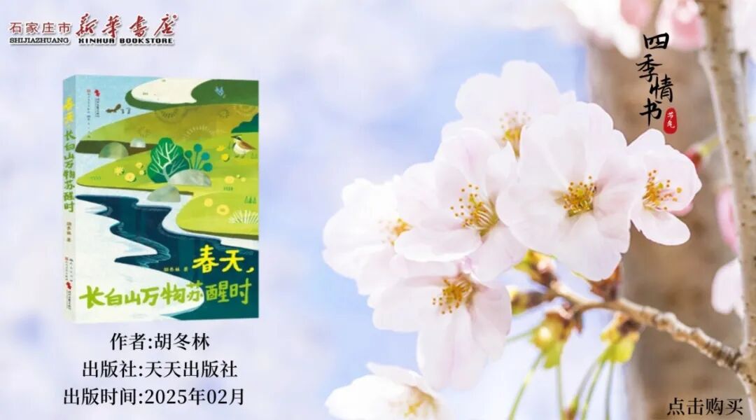undefined 图片