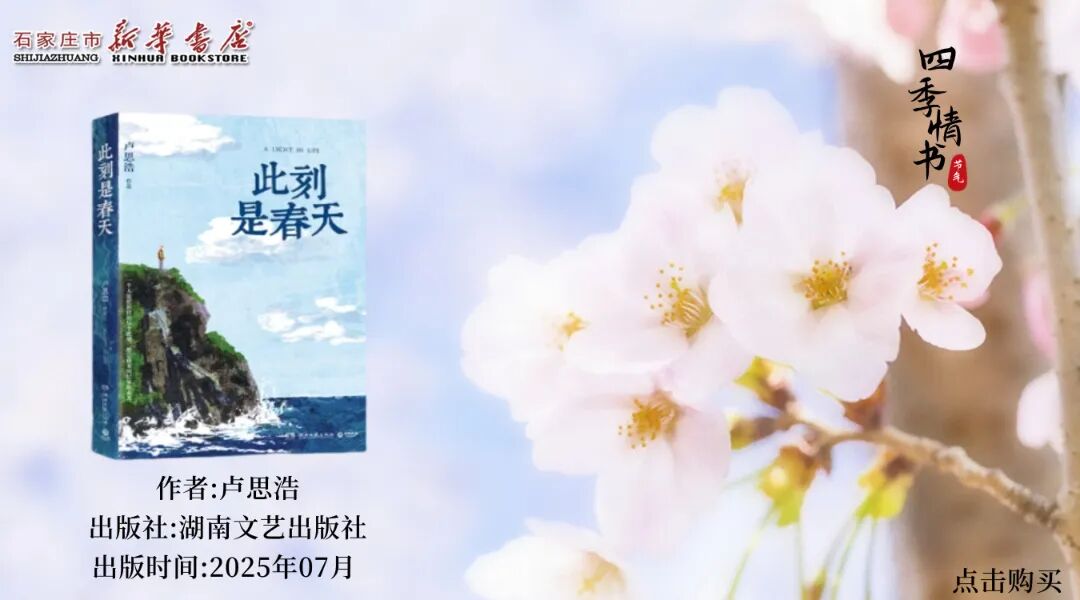 undefined 图片
